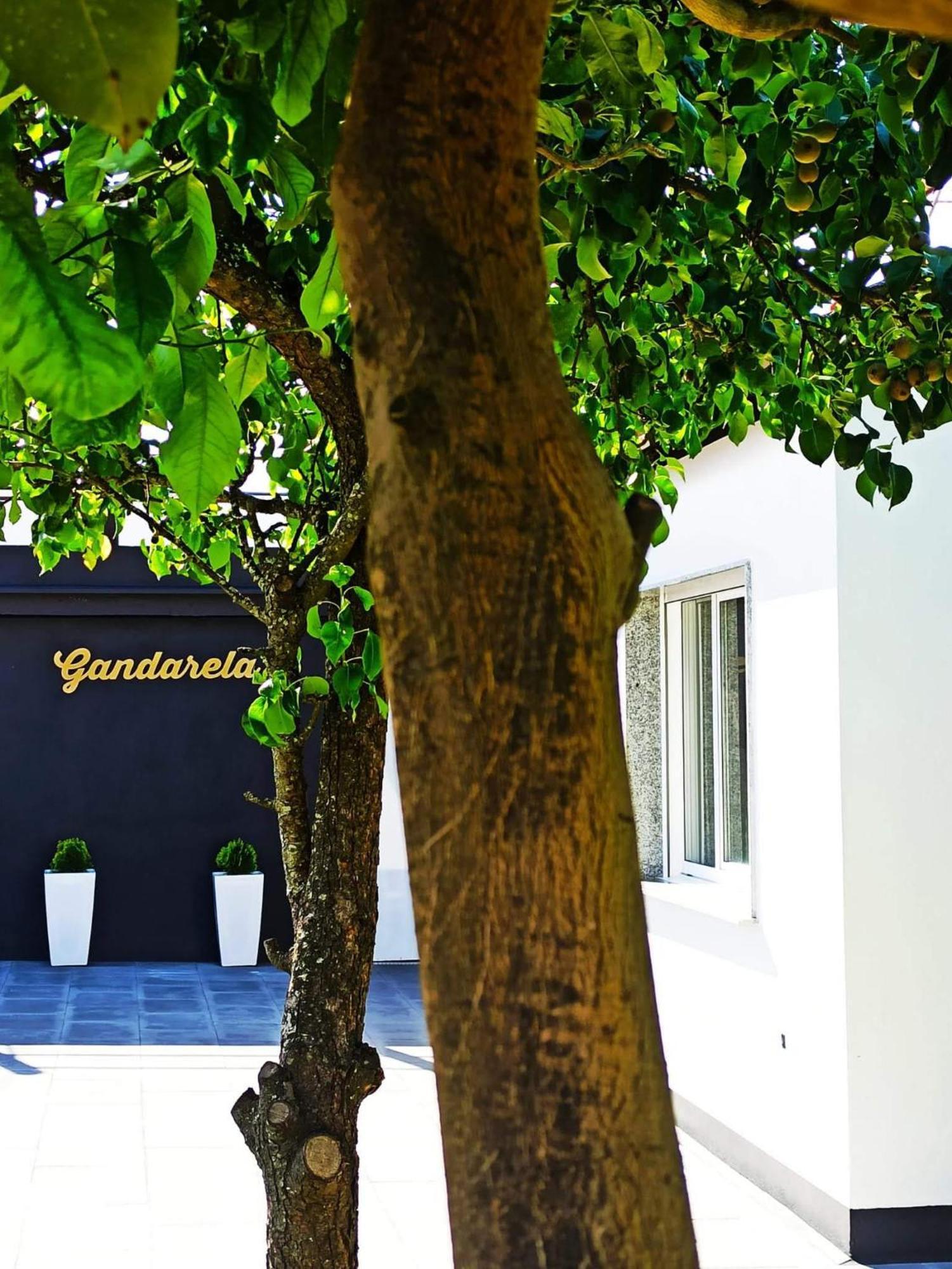 Apartamentos Vut Gandarela Sanxenxo Luaran gambar